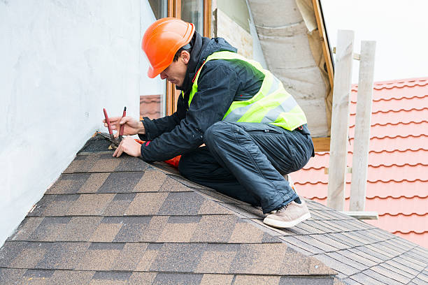 Best Roof Gutter Cleaning  in Brighton, AL